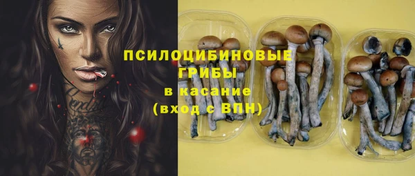 ПСИЛОЦИБИНОВЫЕ ГРИБЫ Богородицк