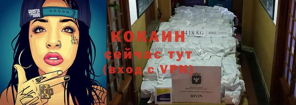 стафф Богданович