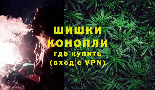 стафф Богданович